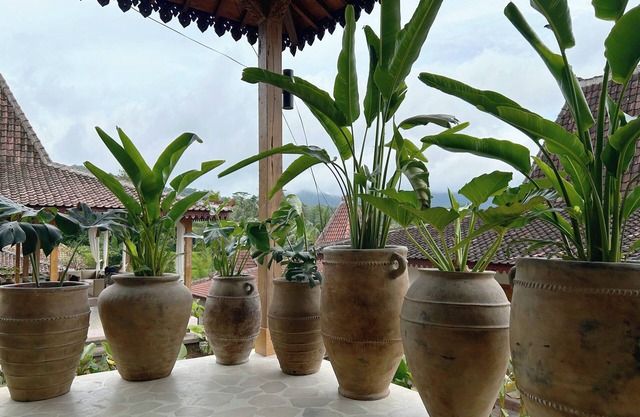 Tebola Village Resort Managed by CPM