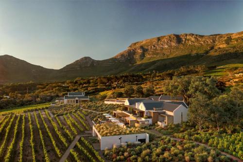 The Alexander Estate - Cape Point Vineyard, Noordhoek