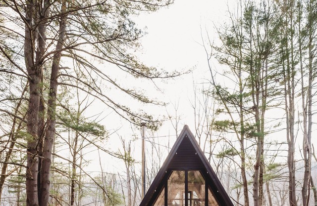 The Allegheny A-Frame