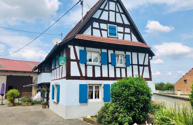 The Alsatian with 29 hearts