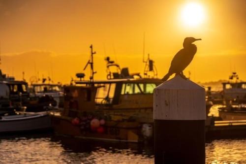 The Apartment - Perfect Location on Poole Quay - Beatiful Roof Terrace - Free Parking