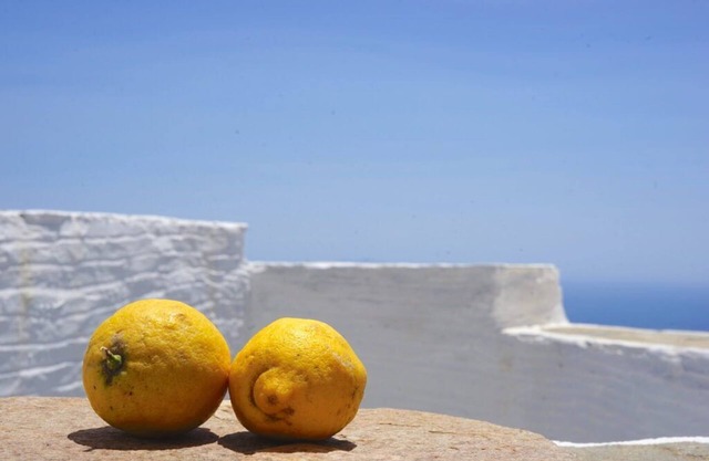 The Artist House Triantaros