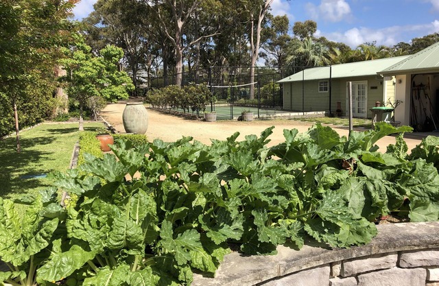 "The Barn House", Pet Friendly, Tennis/Pickle Ball Court