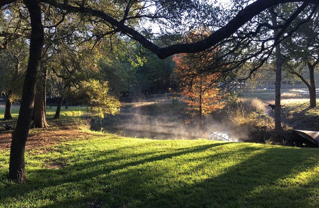 ⭐️ ⭐️ The Best of Both Worlds—Great Location for Austin & Hill Country ⭐️ ⭐️