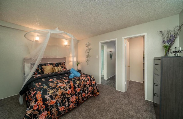 The Bird's Nest Colorado - 1/1 fully furnished