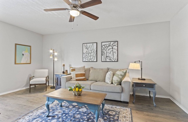 The Burrow @ Earle Street