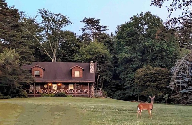 The Cozy Cabin, 4 BR, 2 bath home on 5 private acres in NE PA. Family Friendly!