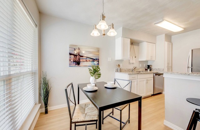 The Dallas Vibe ARBORETUM TICKETS INCLUDED