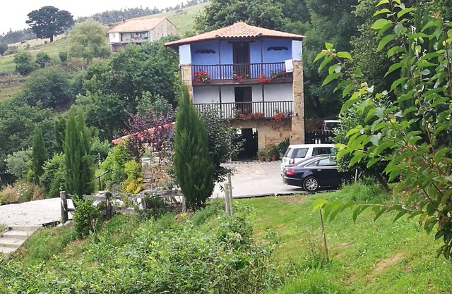 The enchanted forest Cantabria