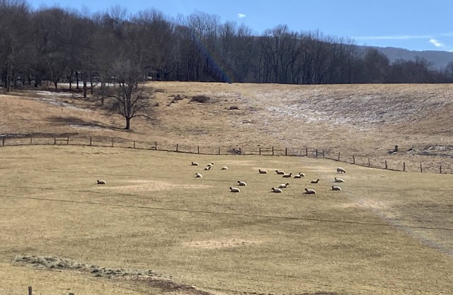 The Farm House at Lucky Loop Hollow Farm