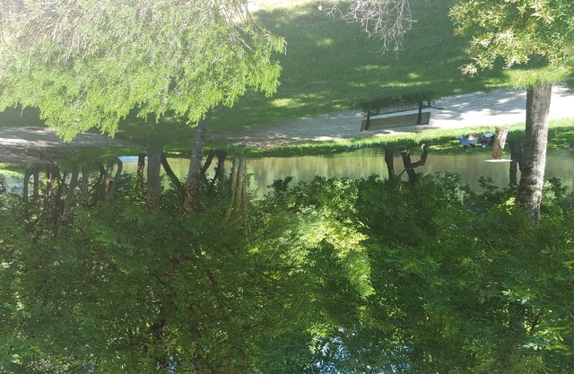 The House Cricket at MONTVALENT