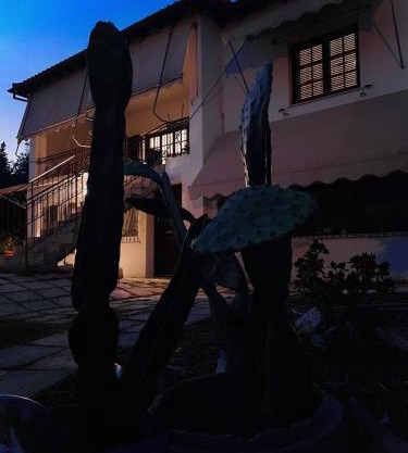 The land of the olive tree