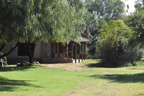 The Lions Foundation Rescue & Conservation Centre at Schrikkloof