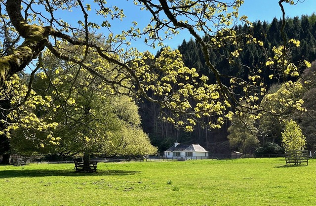 The Lodge at The Yair - Riverside comfort in the Scottish Borders