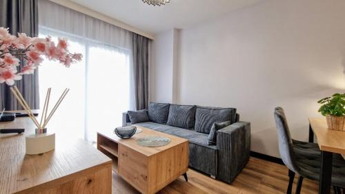 The Luxury Manufaktura Loft Free Parking