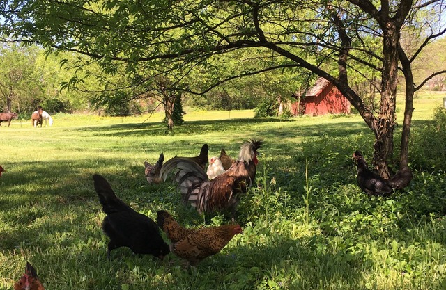 The Milk Barn at Artesian Springs, Nolensville, TN