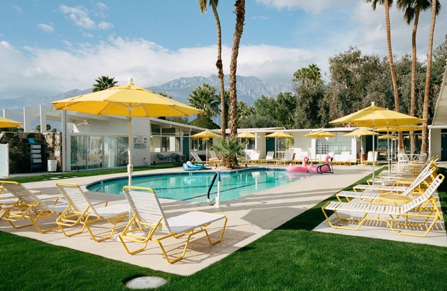 The Monkey Tree by AvantStay – Mid-Century Modern Oasis with Pool