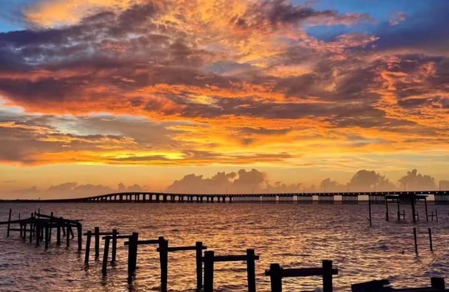 The Southern Magnolia in Ocean Springs