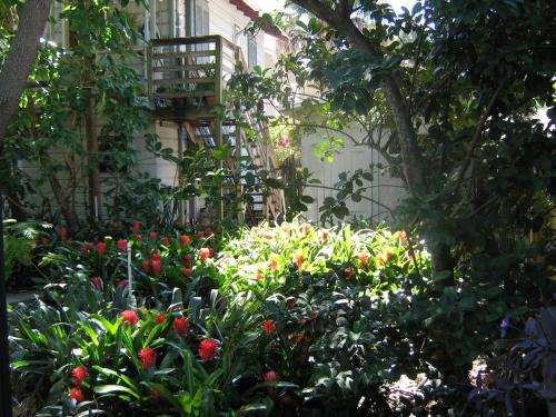 The Treehouse-Short Term available message Jo-An