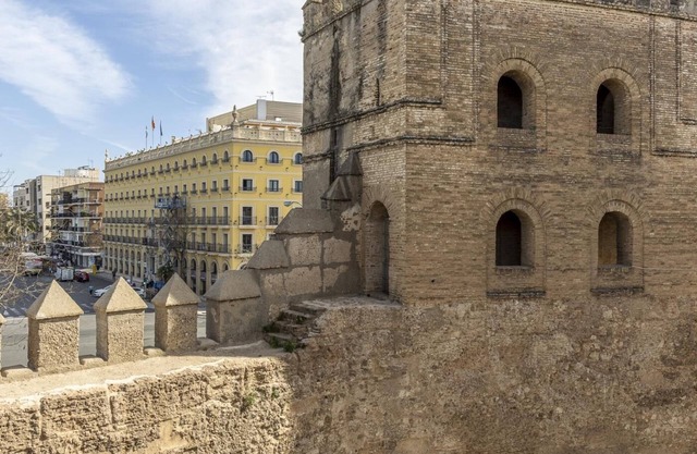 The wall of Sevilla duplex