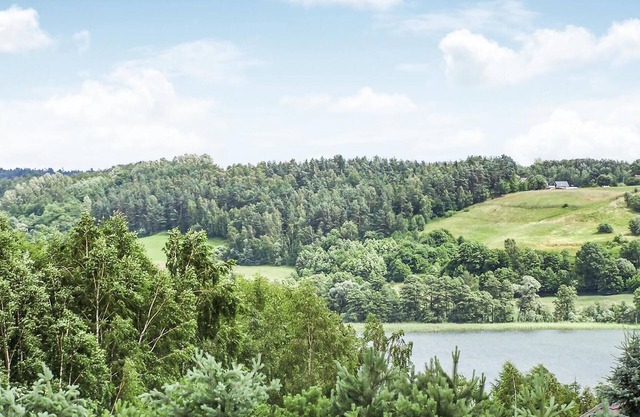 This nice vacation home is situated on a beautiful nature plot.