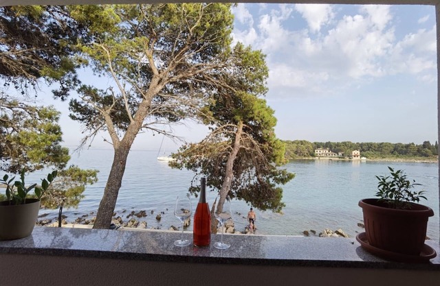 Three bedroom apartment near beach Ugljan (A-19580-a)