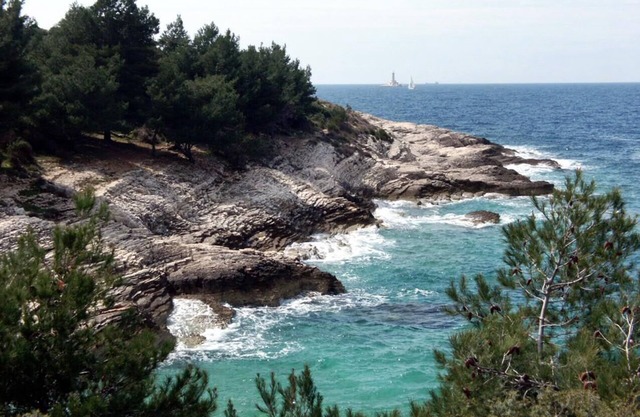 Three bedroom apartment with balcony Premantura, Medulin (A-20685-b)