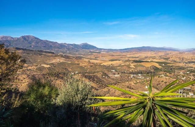 Three bedroom villa in Guaro