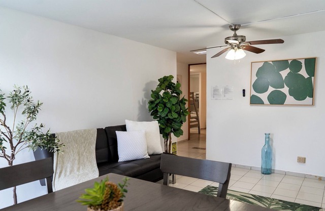 Tico is a Friendly Stay for Casual Traveler’s, Carolina