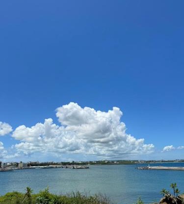 Tidal Stream Sea View B&B