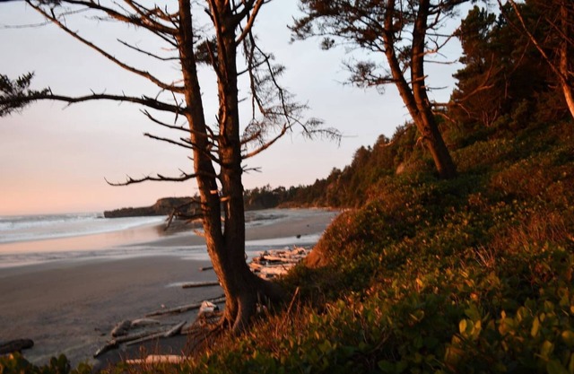 Tiki of the Pines Private Ocean Access A-Frame
