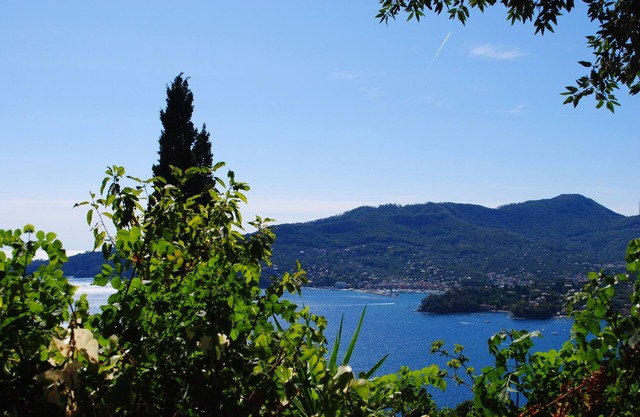 Time Is You (historic center) Rapallo