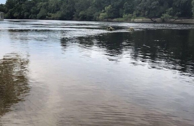 Tiny Twig @ Lynch Camp Inn