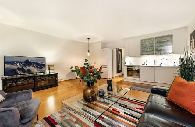 Tjuvholmen, great apartment