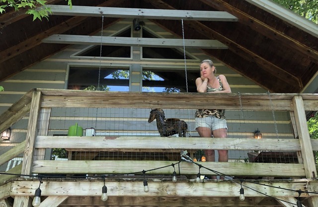 Tlea Farm Mountain Log Cab. 73 Acres of Trails and Horse Paddocks 2 Steams+Lake