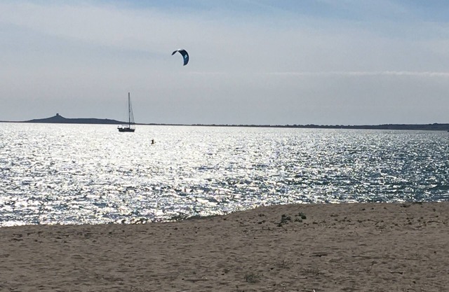 Torregrande Or. free Aug. 2-9