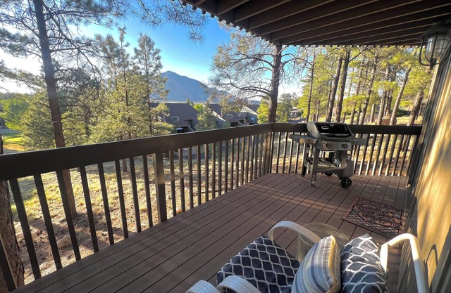 Tranquil Retreat In the Pines w/Mountain Views! Updated 1 Bed 1 Bath