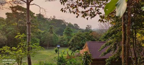 Tree Guest House kep