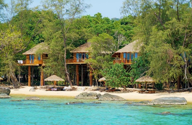 Tree House Bungalows