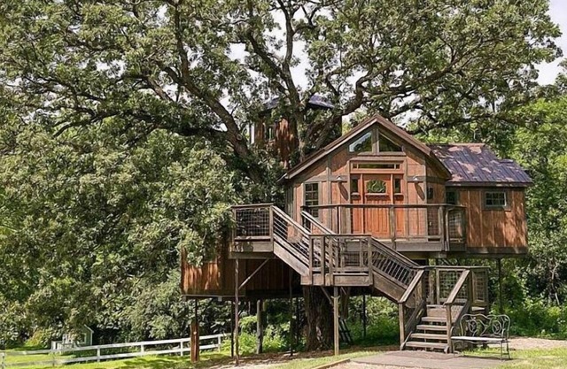 Tree House Luxury Stay