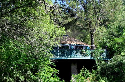 Tree House Yurt