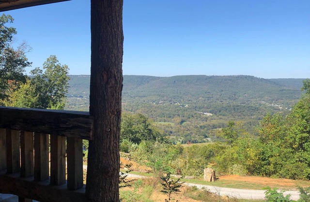 Tree Top View