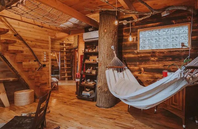 Treehouse over the water - Eagle's Nest