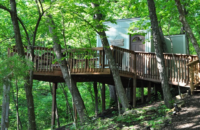 Treehouse with deck