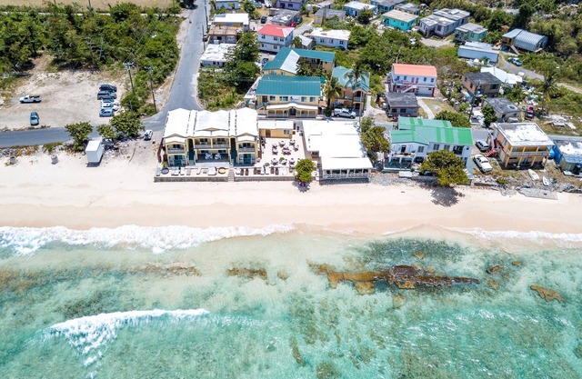 Tropical Garden Double