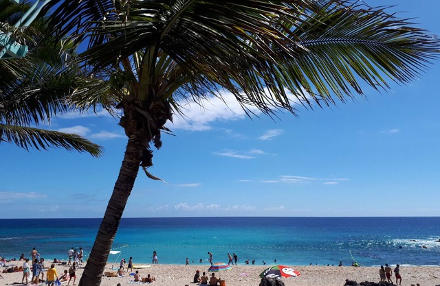 Tropical vacations in T1bis bungalow, 2 stars, beachfront in Boucan