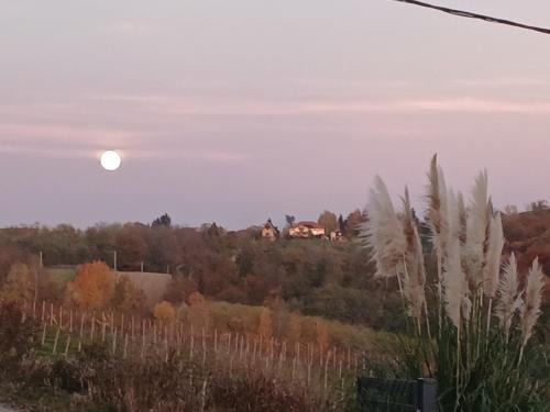 Tweet Apartments with Sauna and optional Breakfast Close To Terme Sveti Martin