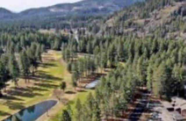 Twin Lake Village Golfing community w/amenities, close to Silverwood Theme Park.
