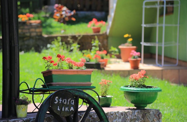 Two bedroom apartment (pet friendly) Perušić, Velebit (A-17540-a)