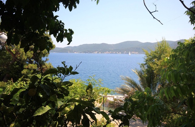 Two bedroom apartment near beach Viganj, Pelješac (A-633-c)